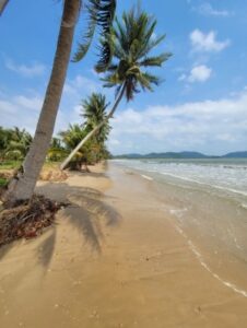 ขาย,ที่ดิน,ที่ดินติดทะเลชุมพร-หาดขาวสะอาด,ที่ดินติดทะเลชุมพร-หาดขาวสะอาด,ติดทะเลชุมพรใกล้แหล่งท่องเที่ยว,หาดส่วนตัวอ่าวทุ่งมะขาม,เหมาะทำโรงแรม รีสอร์ท,เหมาะทำบ้านพักตากอากาศ