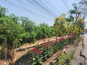 ขาย,ที่ดิน,ที่ดินหนองจอกติดถนนหลัก  ,ที่ดินหนองจอกติดถนนหลัก  ,3ไร่  ,Land For Sale NongChok-Bangkok ,เหมาะทำโรงแรม รีสอร์ท  ,ขายที่ดินไม่ไกลกรุงเทพ 