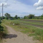 ขาย ที่ดิน 11-1-76 ตร.ว.. ใกล้ถนนราชพฤกษ์ (10)