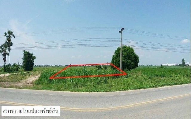 ขายที่ดินว่างเปล่ามือสอง อำเภอคลองขลุง กำแพงเพชร