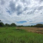 ขายที่ดินว่างเปล่ามือสอง อำเภอสันกำแพง เชียงใหม่