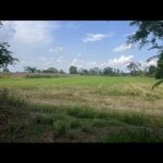 ขายที่ดินตำบลศิลา อำเภอเมือง จังหวัดขอนแก่น เนื้อที่ 8 ไร่ 75 ตาร