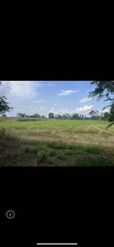 ขายที่ดินตำบลศิลา อำเภอเมือง จังหวัดขอนแก่น เนื้อที่ 8 ไร่ 75 ตาร