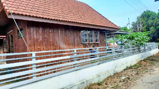 แม่ริมพลาซ่า 3 กม.ให้เช่าบ้านเดี่ยว 1 ชั้น หลังมุม 61 ตร.วา. 2 น