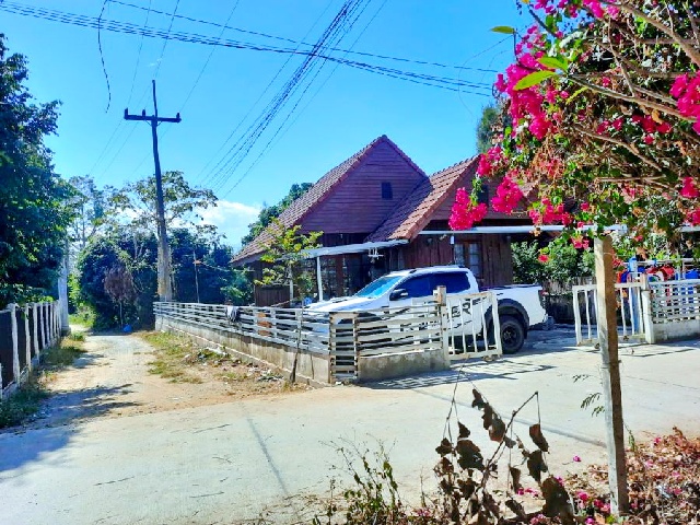 หลังมุม 62ตร.วา.242 แม่ริม 2 นอน เทศบาลแม่โจ้ ให้เช่าบ้านเดี่ยว