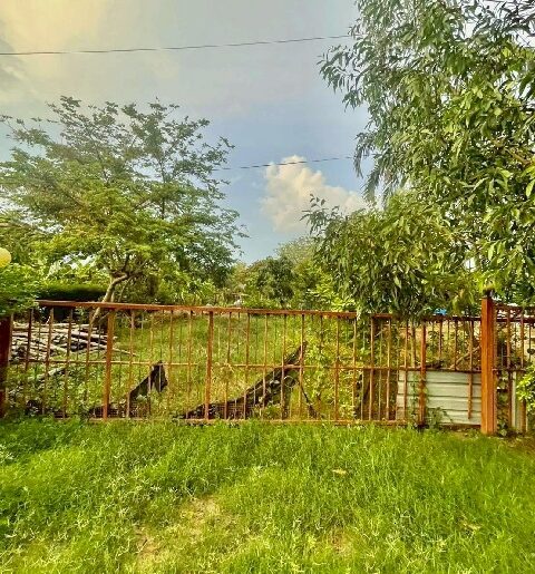 ขายที่ดิน หนองเสือ 251ตร.วา. รีบใช้เงิน วัดประสิทธิเวช 4.2 กม ติ