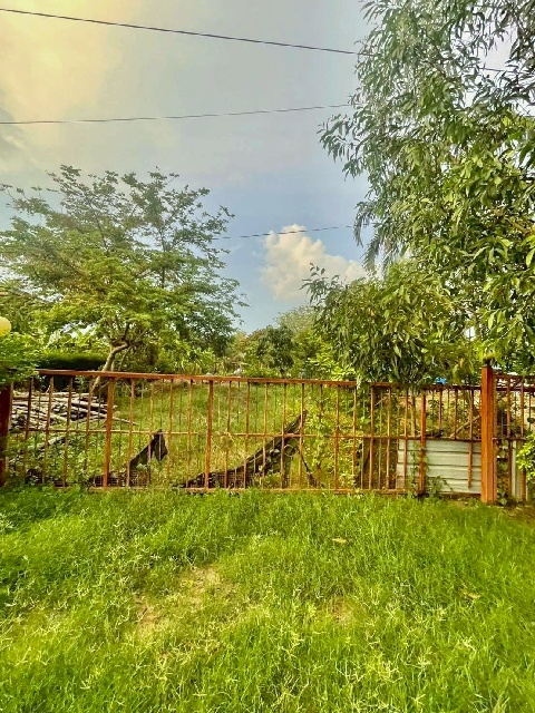 รีบใช้เงิน ขายที่ดิน หนองเสือ 251ตร.วา. วัดประสิทธิเวช 4.2 กม ติ