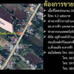 ขายที่ดิน อำเภอตากฟ้า จังหวัดนครสวรรค์ เนื้อที่ 20 ไร่เศษ