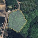 ขายที่ดิน 9 ไร่ 1 งาน 19 ตร.ว. ต.คลองเคียน พังงา