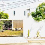 ขายบ้านโมเดิร์น ทรงกล่อง หลังแบน