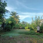 ขายที่ดิน 1 ไร่ 1 งาน 70 ตร.ว. ต.สูงเนิน อ.สูงเนิน จ.นครราชสีมา