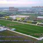 ขายที่ดินเขต EEC ผังม่วงลาย ถมแล้ว 5 ไร่ อ.เมือง ฉะเชิงเทรา