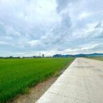 ขายที่ดิน 15 ไร่ หน้ากว้าง ผังม่วง อ.เมือง ฉะเชิงเทรา