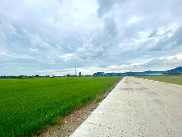 ขายที่ดิน 15 ไร่ หน้ากว้าง ผังม่วง อ.เมือง ฉะเชิงเทรา