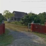 ขายที่ดิน10-1-12ไร่ 16ล. บ้านสวนลำไย ต.ท่ากว้าง สารภี เชียงใหม่