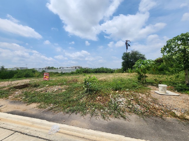 ขายที่ดิน 5 ไร่ บางบอน 5 เพขรเกษม 81