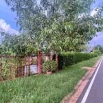 รีบใช้เงิน คลอง 14-15 หนองเสือ 250 ตร.วา ติดถนนสาธารณะ ขาย ที่ดิน