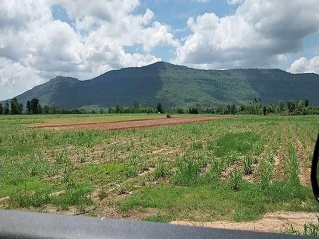 ขายที่ดิน 99 ไร่ 2 งาน 10.2 ตรว. ติดถนนทางหลวง 228