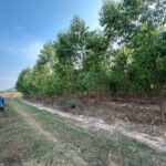 ขายด่วน ที่ดินทำเลทอง 20 ไร่ แบ่งขายได้ น้ำไฟพร้อม