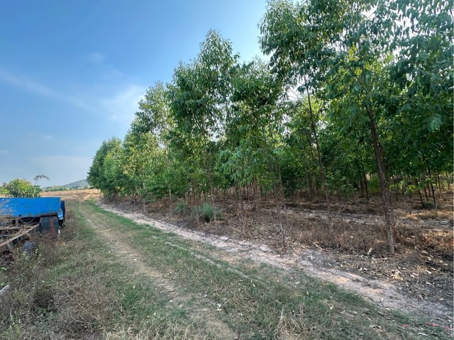 ขายด่วน ที่ดินทำเลทอง 20 ไร่ แบ่งขายได้ น้ำไฟพร้อม