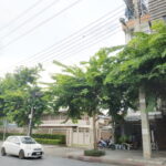 อาคารพาณิชย์ทำเลทอง-บางพลัด