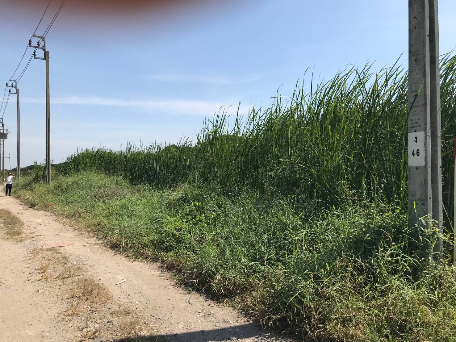 ขายที่ดินปล่าว 190 ตารางวา ซอยร่มเกล้า 19 ปากทางเข้าหมู่บ้านพาร