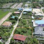 ขายที่ดิน แปลงสวย ถ.บ้านกล้วย อ.ไทรน้อย จ.นนทบุรี