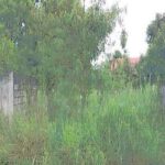 ขายที่ดินว่างเปล่า ตำบลหนองขาม อำเภอศรีราชา ชลบุรี