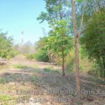 ขายที่ดิน ทำเลดี ติดถนนสายนครไทย-ชาติตระการ จ.พิษณุโลก