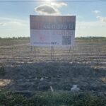 ขายที่ดิน ใกล้นิคมมาบตาพุด เหมาะทำโรงงาน-คลังสินค้า-หอพักแรงงาน