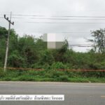 ขายที่ดินว่างเปล่ามือสองแจ้ห่ม โครงการใหม่สวนดอกคำ ลำปาง