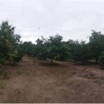 ขายที่ดินว่างเปล่ามือสอง บ้านเหล่ายาวเหนือ ลำพูน