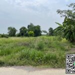 ขายที่ดิน ซอยเทศบาลบึงบา อำเภอหนองเสือ จังหวัดปทุมธานี