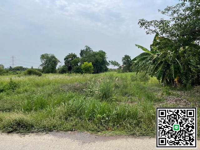 ขายที่ดิน ซอยเทศบาลบึงบา อำเภอหนองเสือ จังหวัดปทุมธานี