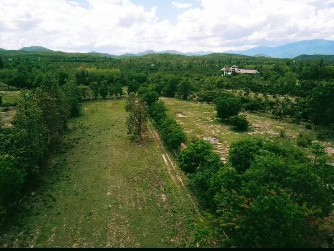 ด่วน! แปลงสุดท้าย 650,000 บาท 125 ตรว. น้ำแพร่ หางดง