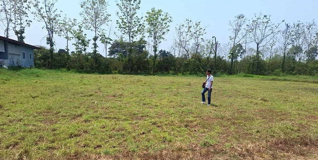 ขายที่ดิน1ไร่ 2.5ล.น้ำไม่ท่วม ไฟฟ้า น้ำประปา ชมภู สารภี เชียงใหม่