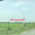 ขายที่ดิน ที่ดิน ติดถนนราชพฤกษ์ 6 ไร่
