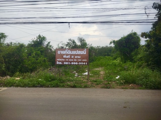 ขายที่ดินใกล้แหล่งชุมชน-นิคมอุตฯ 304 อ.ศรีมหาโพธิ จ.ปราจีนบุรี