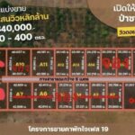 ที่ดินแบ่งล็อคขาย โครงการชายคาพักใจ ป่าซาง ลำพูน