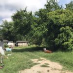 ขายที่ดินแถวบ่อหิน ตำบลสันป่าเปา อำเภอสันทราย จังหวัดเชียงใหม่