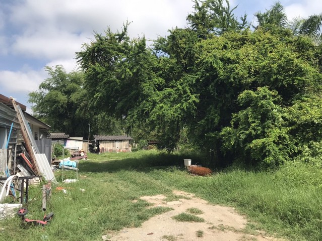 ขายที่ดินแถวบ่อหิน ตำบลสันป่าเปา อำเภอสันทราย จังหวัดเชียงใหม่