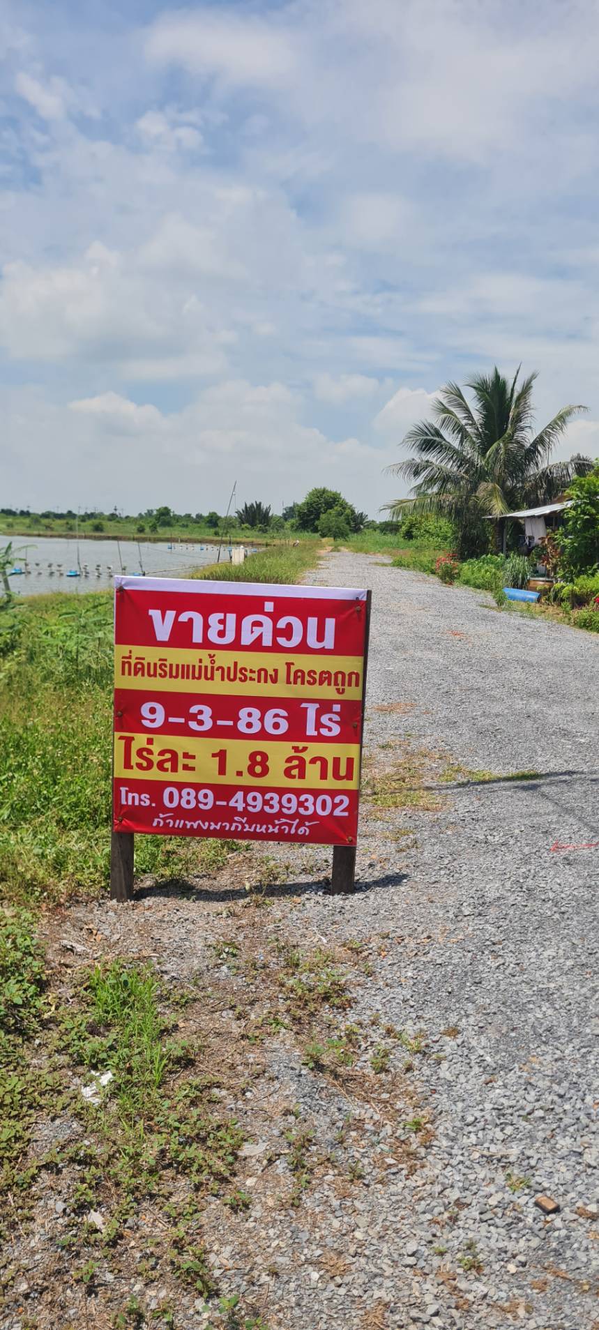 ขายที่ดินริมแม่น้ำบางปะกง อำเภอบางคล้า จังหวัดฉะเชิงเทรา