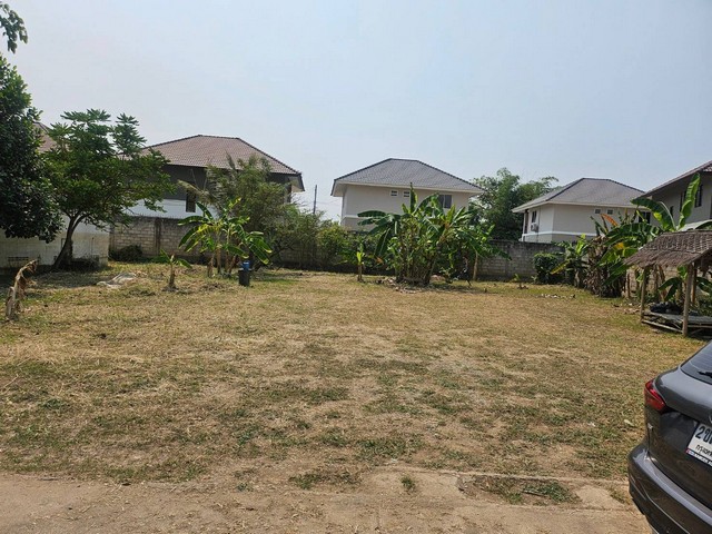 ขายที่ดินถมแล้วติดหมู่บ้านกาญกนก 15 ยางเนิ้ง อำเภอสารภี เชียงใหม