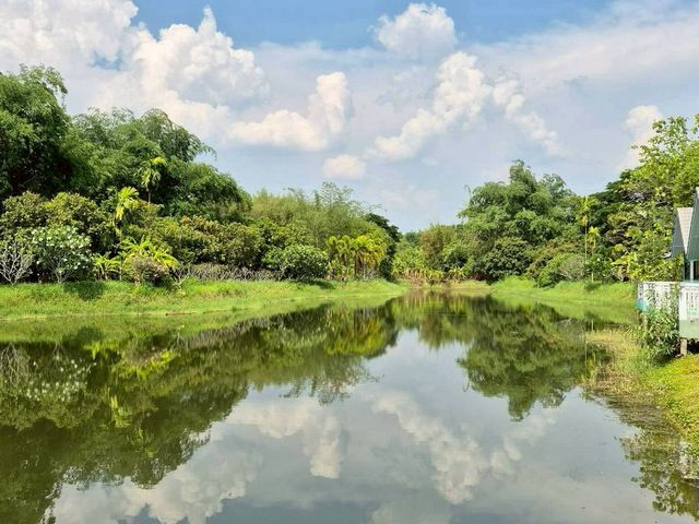 ขาย 15 ล้าน 12-3-24 ตรว. รีสอร์ท บ้านพัก สันทราย บรรยากาศดี เงียบ