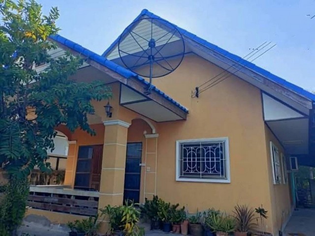 ขายบ้านเดี่ยว 2 หลัง ในเนื้อที่ 300 ตารางวา