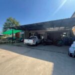 ขายเพียง 3.3 ล้าน 100 ตรว. #สันพระเนตร #สันทราย เนื้อที่กว้างขวาง