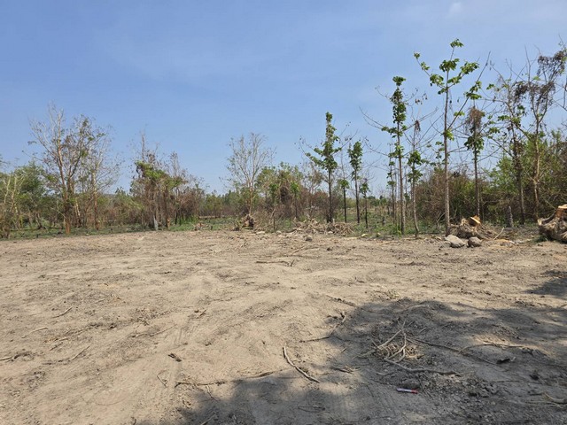ที่ดินชำผักแพว แก่งคอย สระบุรี ผ่อนจ่ายได้ 1 ปี ไม่มีดอกเบี้ย