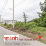 ขายที่ดิน ติดถนนลาดยาง ใกล้วัดไชยสงคราม ต.บ้านแห อ.เมือง จ.อ่างทอ