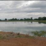 ขายบ่อดิน อำเภอเมือง จังหวัดลำพูน เนื้อที่ 7 ไร่กว่า เอกสารโฉนด