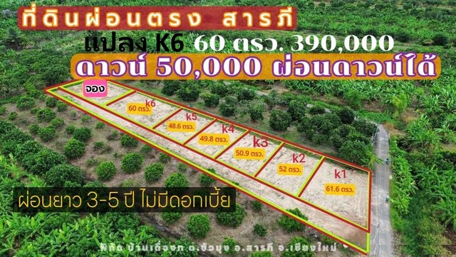 ขายที่ดิน48-62ว.เริ่ม301,000บ. ผ่อนได้ ต.ขัวมุง อ.สารภี เชียงใหม่